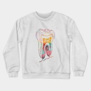 Human tooth structure Crewneck Sweatshirt